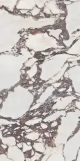 Керамогранит 46-869-0001-11342 Cr Lux Viola Pul. Rect. 60x120