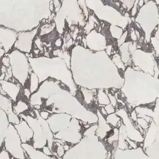 Керамогранит Cr. Lux Viola Pol Rett 120x120