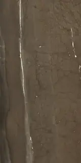 Керамогранит Cr.Lux Jatoba Brown Pul. Rect. 60x120