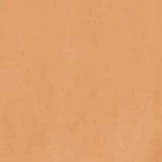 Керамогранит Cotto Mat 20x20