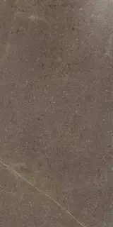 Керамогранит 610015000261 Contempora пат. Burn 30x60