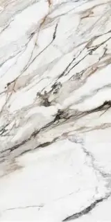 Керамогранит Calacatta Paonazzo Satin Rect 60x120