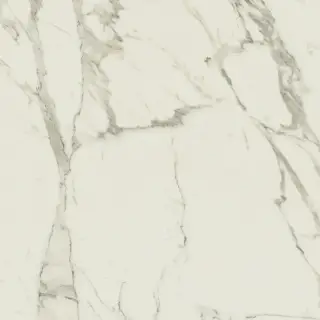 Керамогранит Anima Calacatta Oro Rett Lucidato 60*60*9,5