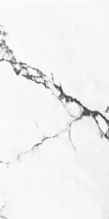 Керамогранит Calacatta Black Polished Rect 60x120