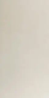 Керамогранит At.Basic Ivory Matt Rect. 60x120