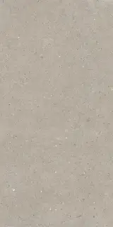 Керамогранит ARGENT6 12 60x120