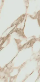 Керамогранит Arabescato Gold glossy Rect. 60x120