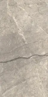 Керамогранит AIAV Amazing Silver Liscio Matt 60x120