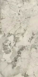 Керамогранит AHSE Anima Wonder Glacier Liscio Matt 60x120