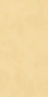 Керамогранит AHEE Join Mango Soft 60x120