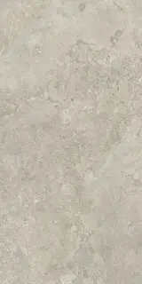 Керамогранит AG35 Portraits Newport Matt RT 60x120