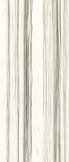 Керамогранит AE ZEB6 278 LPM 120x278