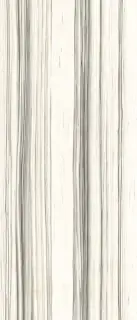 Керамогранит AE ZEB6 278 LP 120x278