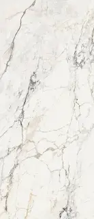 Керамогранит AE PAO6 278 LP 120x278