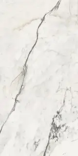 Керамогранит AE PAO6 12 RM 60x120