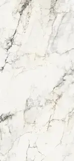 Керамогранит AE PAO6 260 LP 120x260