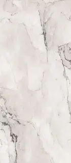 Керамогранит AE CAM6 278 LP 120x278