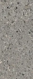 Керамогранит AC02XPL Ceppo Artistico Lap.SQ. 6mm 120x280