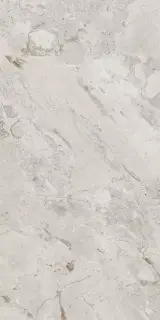 Керамогранит 93453 Karnis Silver Matt 60x120