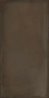 Керамогранит 88343 Crete Bronzo Matt 20x40