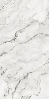 Керамогранит 80O134E Camouflage Natural 60x120