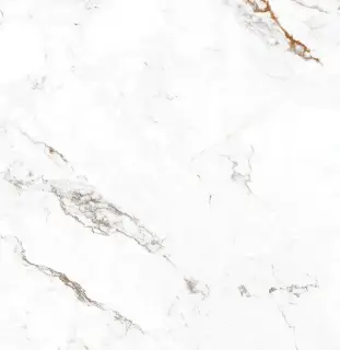 Керамогранит 80C143P Capraia Pulido 120x120