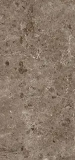 Керамогранит 78RC27P Coverlam Artic Moka Pulido 120x260