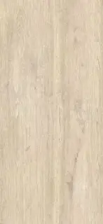 Керамогранит 78JG-47 Jungla Abeto 120x260