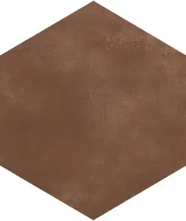 Керамогранит 781808 Sensi Terre Amaranto Nat Esagono 22x20