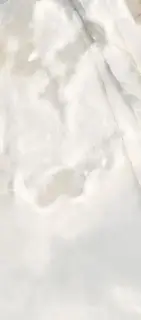 Керамогранит 770423 Reves De Rex Noisette Glossy Ret 80x180