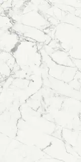 Керамогранит 769985 Les Origines De Rex Blanc Glossy 6mm 60x120