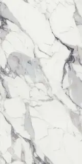 Керамогранит 769983 Les Origines De Rex Argent Glossy 6mm 60x120