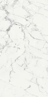 Керамогранит 769860 Les Origines De Rex Blanc Glossy 60x120