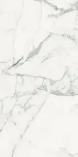 Керамогранит 769856 Les Origines De Rex Blanc Matte Rett 60x120