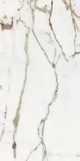 Керамогранит 769854 Les Origines De Rex Or Matte Rett 60x120