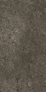 Керамогранит 768625 Sensi Brown Fossil Nat Ret 6mm 60x120