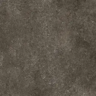 Керамогранит 768560 Sensi Brown Fossil Nat Ret 6mm 120x120