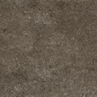 Керамогранит 768380 Sensi Brown Fossil R+PTV Ret 80x80