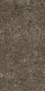 Керамогранит 768354 Sensi Brown Fossil R+PTV Ret 40x80