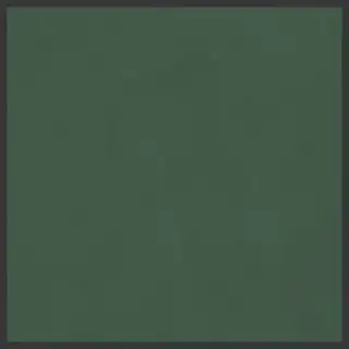 Керамогранит 764105 Policroma Cornice Conifera Mat Ret 6mm 120x120