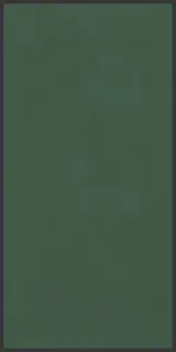 Керамогранит 764097 Policroma Cornice Conifera Mat Ret 6mm 120x240