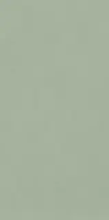 Керамогранит 764046 Policroma Lichene Mat Ret 6mm 120x240