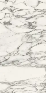 Керамогранит 756538 Stones 2.0 Arabescato White Glossy Ret 6mm 120x240