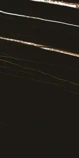 Керамогранит 756215 Stones 2.0 Sahara Noir Matte Ret 40x80