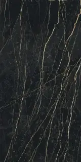 Керамогранит 755848 Prexious Thunder Night Glossy Ret 60x120