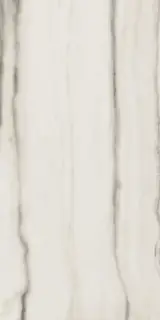 Керамогранит 755833 Prexious White Fantasy Matte Ret 60x120