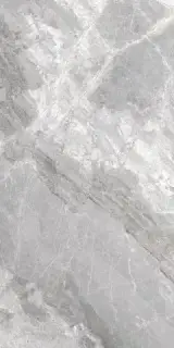 Керамогранит 75382 Supreme Silver Rettificato 60x120