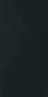 Керамогранит 751180 B&W Black Naturale Ret 6mm 60x120