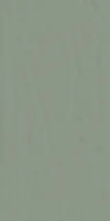 Керамогранит 749558 Neutra 6.0 09 Oliva Ret 6mm 120x240