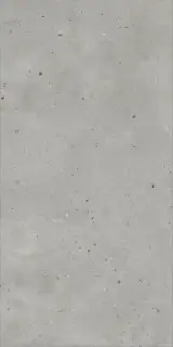 Керамогранит 610010005694 Avantgarde Silver Ret 60x120